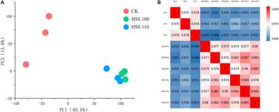 Comparative Analysis of Proteins Involved in Energy Metabolism and Protein Processing in Pyropia haitanensis at Different Salinity Levels